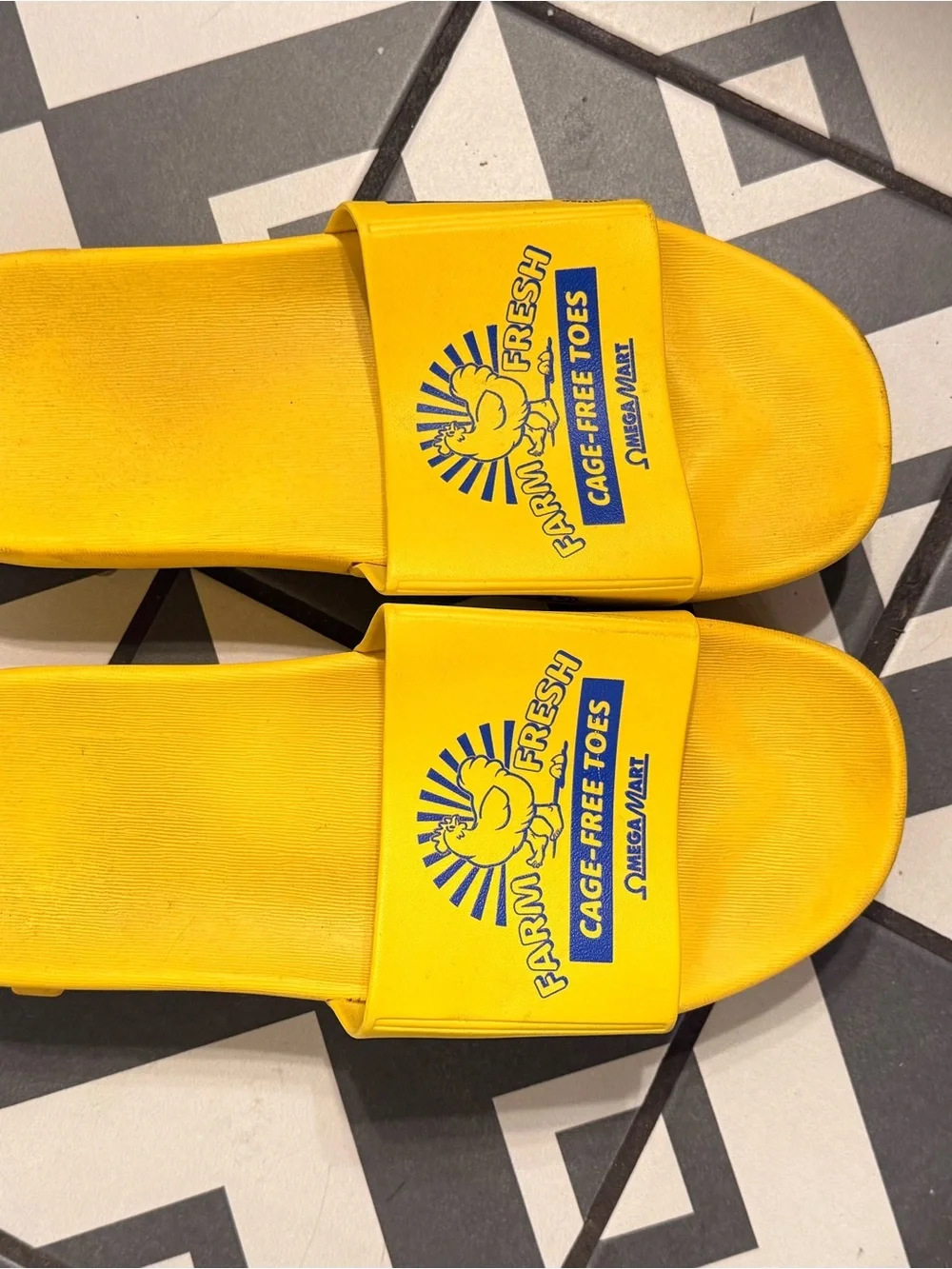 Meow Wolf Cage Free Egg Shoes